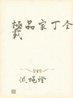 极品家丁全集下载