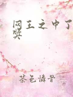 网王之中了特等奖