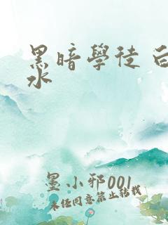 黑暗学徒 白开水