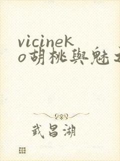 vicineko胡桃与魅之恶魔