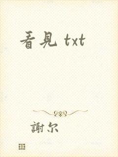 看见 txt
