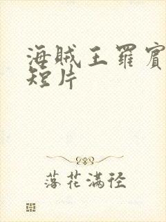 海贼王罗宾被h短片