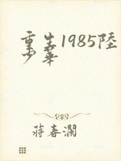 重生1985陆少华