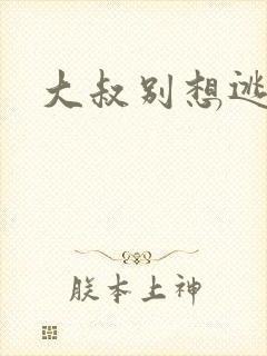 大叔别想逃