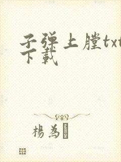 子弹上膛txt下载