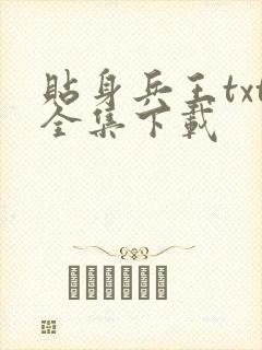 贴身兵王txt全集下载