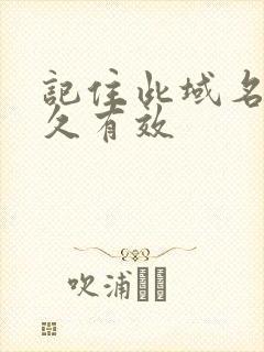 记住此域名记永久有效