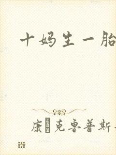 十妈生一胎