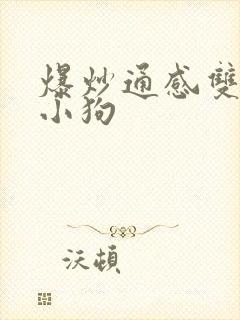 爆炒通感双胞胎小狗