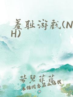 羞耻游戏(NPH)