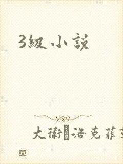 3级小说