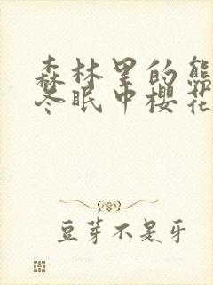 森林里的熊先生冬眠中樱花动漫