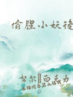 偷腥小妖后