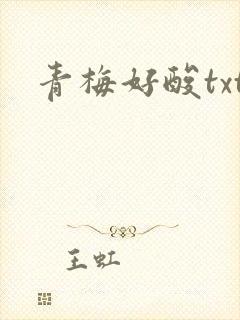 青梅好酸txt