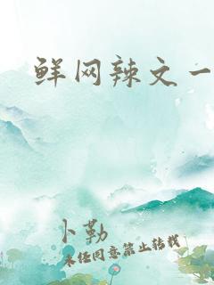 鲜网辣文一对一