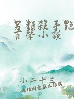 另类杀手艳福星有声小说