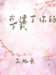 我怀了你的孩子下载