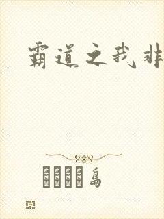 霸道之我非英雄