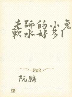 老师的小兔子好软水好多l