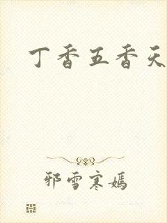 丁香五香天麻豆