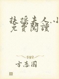 扶摇夫人.小说免费阅读