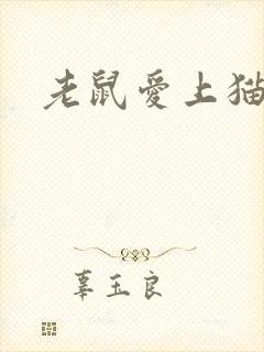 老鼠爱上猫下载