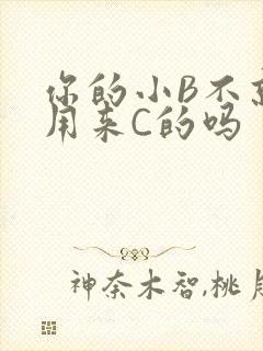 你的小B不就是用来C的吗