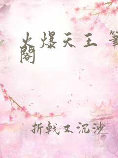 火爆天王 笔趣阁