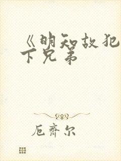 《明知故犯》年下兄弟