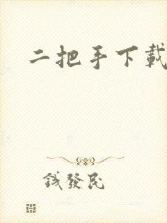 二把手下载