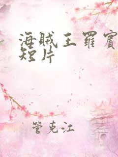 海贼王罗宾被h短片