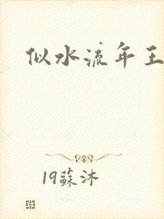 似水流年王小波