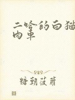 二哈的白猫师尊肉车