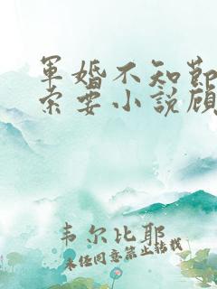 军婚不知节制地索要小说顾念