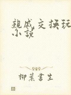 亲戚交换玩美妇小说