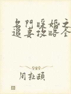 名门暖婚之权爷追妻攻略全文免费阅读