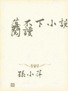 落不下小说免费阅读