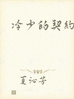 冷少的契约囚奴
