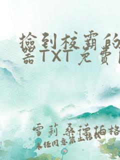 捡到校霸的遥控器TXT免费阅读