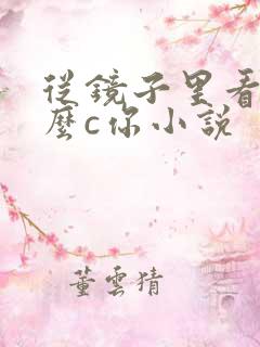 从镜子里看我怎么c你小说