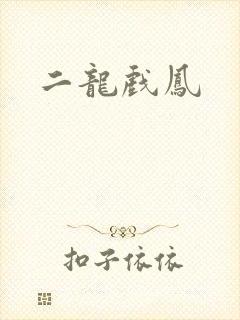 二龙戏凤