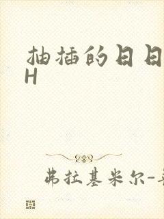 抽插的日日液液H