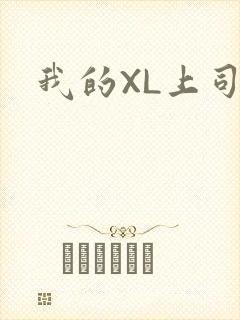 我的XL上司