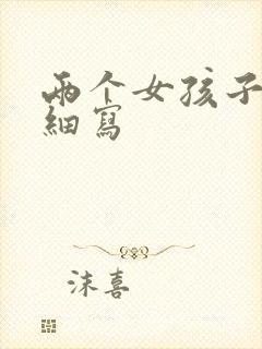 两个女孩子开车细写