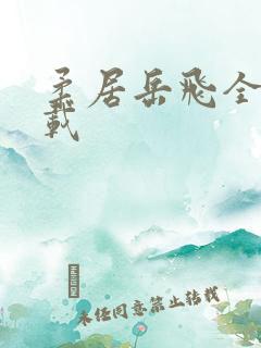 柔居岳飞全传下载