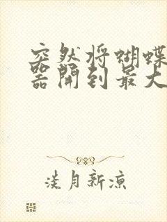 突然将蝴蝶遥控器开到最大