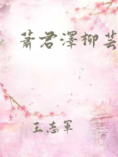 萧君泽柳芸小说