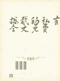 总裁的私有宝贝全文免费