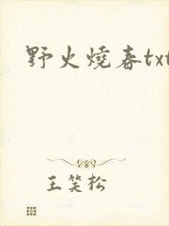野火烧春txt