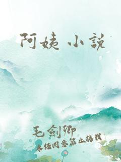 阿姨 小说
